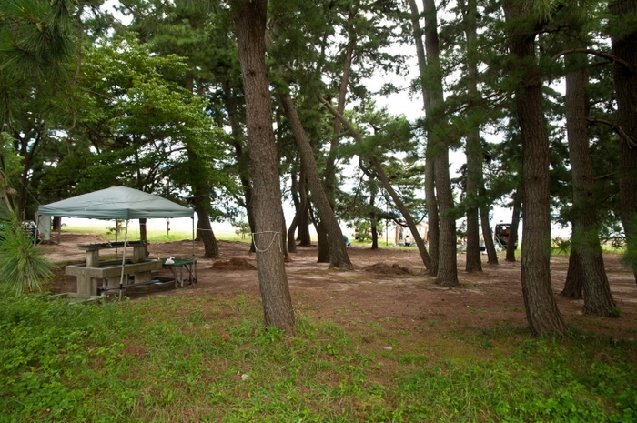 たっぷり遊んでお風呂は最高!関西の温泉付きオートキャンプ場