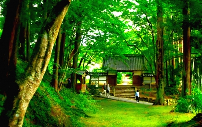 【岩手】「世界文化遺産」平泉でおすすめのスポット7選