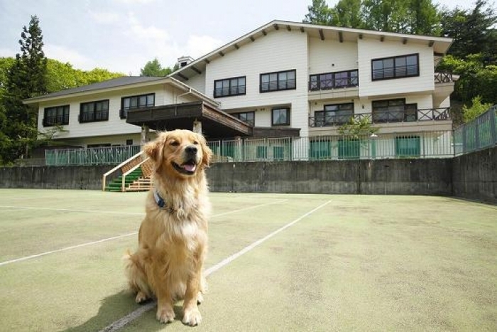 【岐阜】愛犬も愛猫も寂しくない! ペットと一緒に宿泊できるホテル10選
