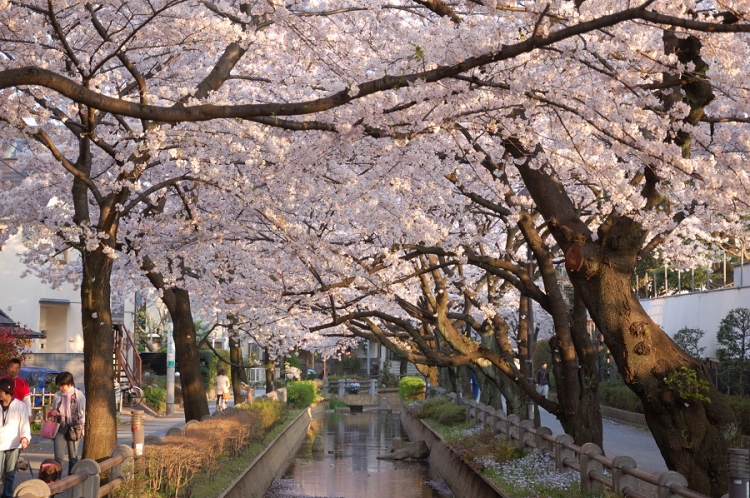 東横線 公園 デート デート