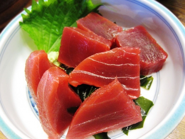 和歌山 水揚げ高日本一 勝浦漁港で獲れたてマグロを味わえるグルメスポット５選 おすすめ旅行を探すならトラベルブック Travelbook