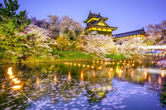 【奈良】桜と鹿、寺社仏閣がコラボ! 楽しみ方色々なお花見スポット5選