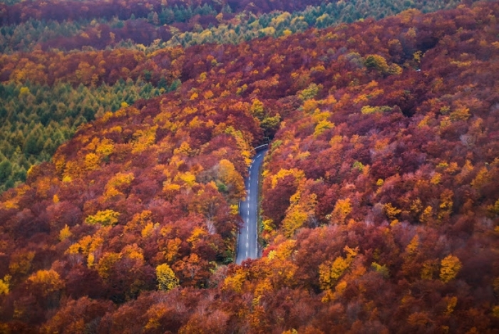 東北の紅葉名所ツアー2018年版:赤じゅうたんの広がる絶景の登山スポットまとめ