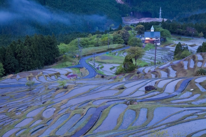 【三重】日本の原風景、美しい棚田が広がる丸山千枚田の見どころガイド