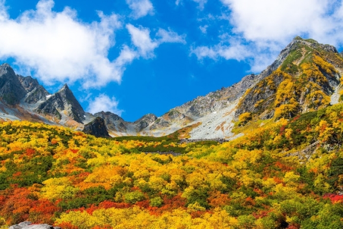 日本一の山岳紅葉がココに! 北アルプスの紅葉登山・ハイキングツアー