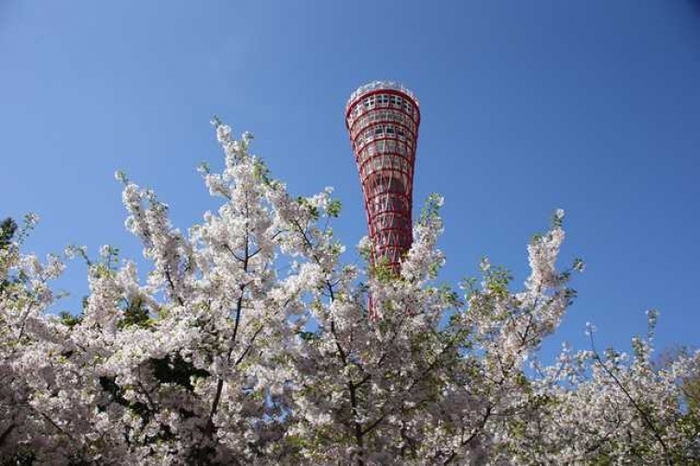 【神戸】デートスポットに迷ったらココ!まる一日大満足なおすすめ神戸ガイド