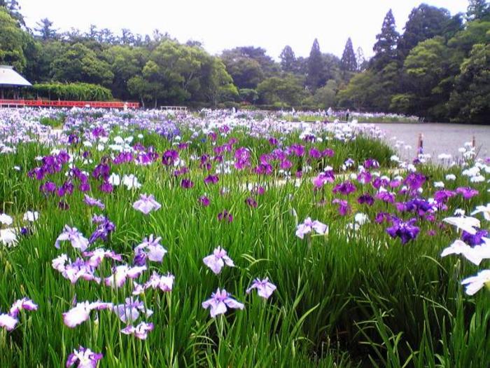 【三重・伊勢】日本最高峰のパワースポット! 「伊勢神宮」の観光完全ガイド
