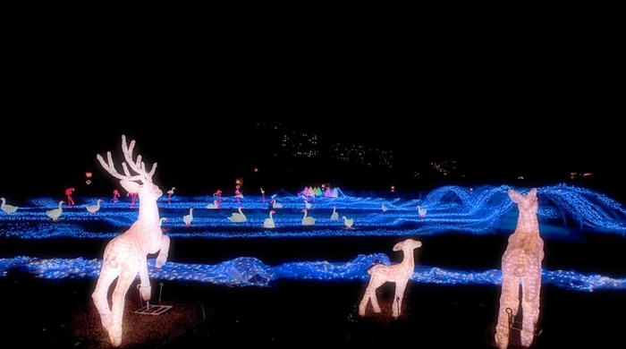 【長崎】4年連続日本一!ハウステンボス「光の王国」イルミネーション完全ガイド