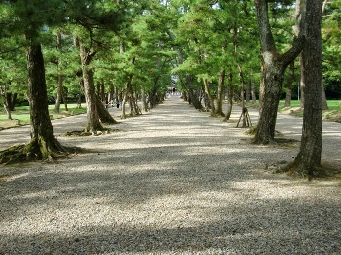 【島根】縁結びの神様、出雲大社!最高のパワースポットと周辺見所まとめ