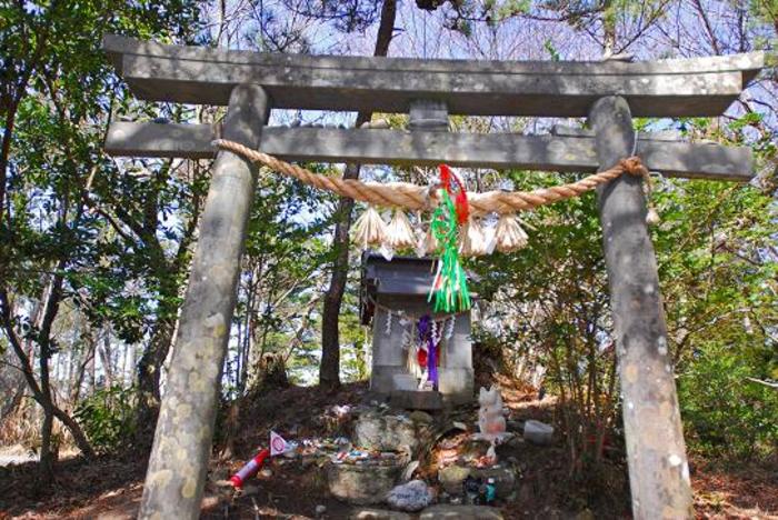 猫好きにはたまらない!一度は見ておくべき猫だらけの島「猫島」6選