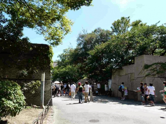 大阪城観光のための徹底ガイド:見学ルートからアクセスまで