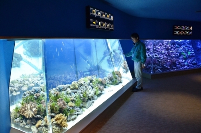 子供・家族みんなで楽しめる名古屋港水族館の見どころ&遊び場徹底ガイド