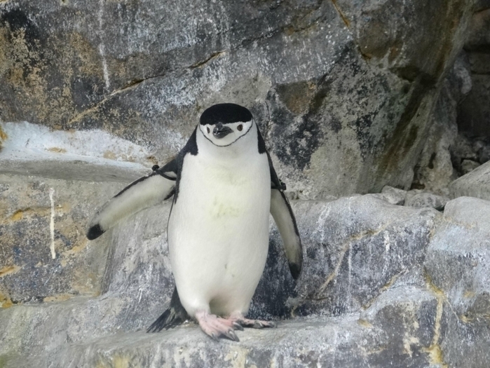 子供・家族みんなで楽しめる名古屋港水族館の見どころ&遊び場徹底ガイド