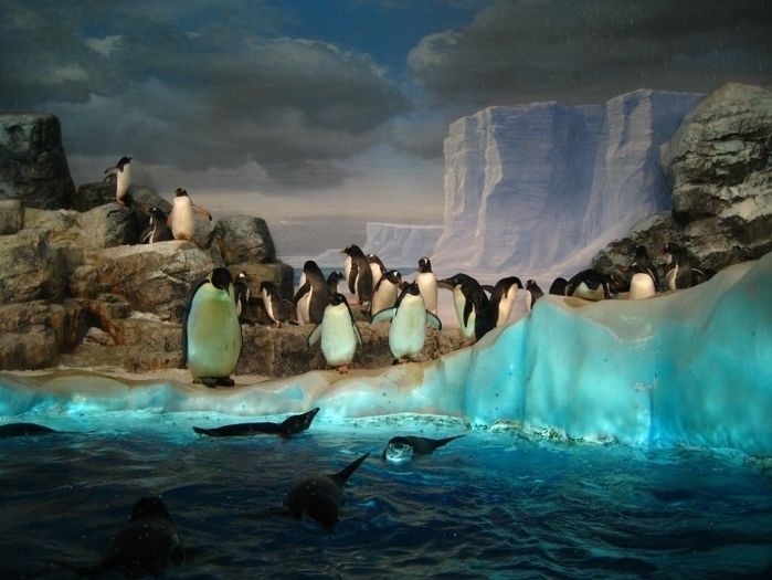 子供・家族みんなで楽しめる名古屋港水族館の見どころ&遊び場徹底ガイド