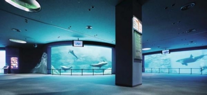子供・家族みんなで楽しめる名古屋港水族館の見どころ&遊び場徹底ガイド