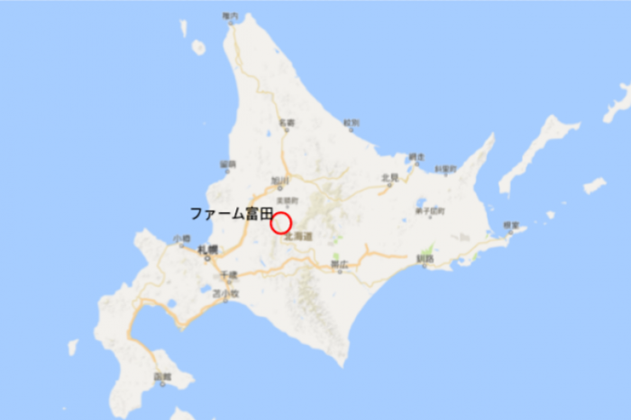 【北海道】富良野のラベンダー畑といえばココ! まるで絵本のような「ファーム富田」