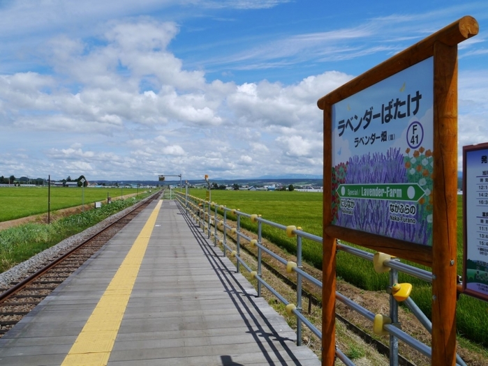 【北海道】富良野のラベンダー畑といえばココ! まるで絵本のような「ファーム富田」