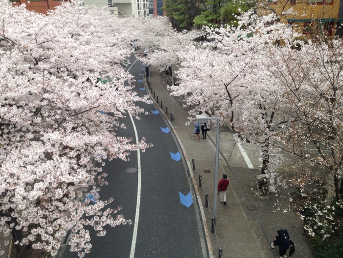 【六本木】おもしろ遊具がたくさん!春にはお花見もできる「さくら坂公園」の魅力