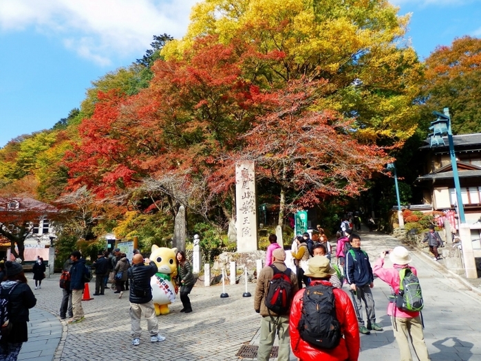 【東京】おでかけ要素が盛りだくさん!「高尾山」の魅力