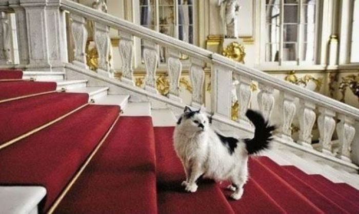 【ロシア】まるで童話の世界! 60匹の猫が住む「エルミタージュ美術館」
