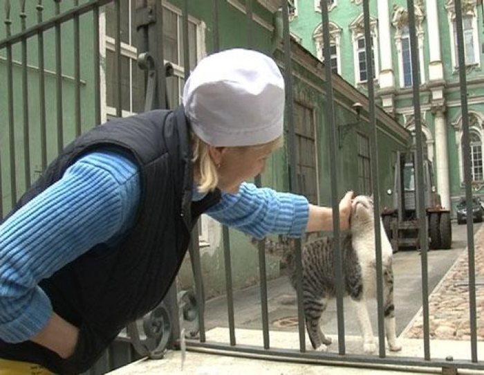 【ロシア】まるで童話の世界! 60匹の猫が住む「エルミタージュ美術館」