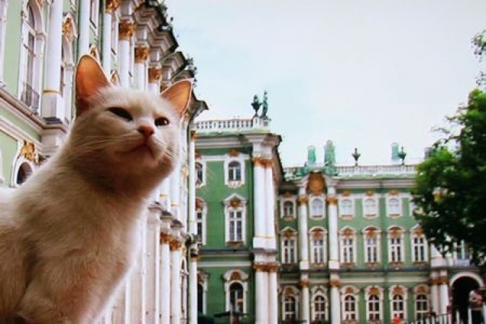【ロシア】まるで童話の世界! 60匹の猫が住む「エルミタージュ美術館」