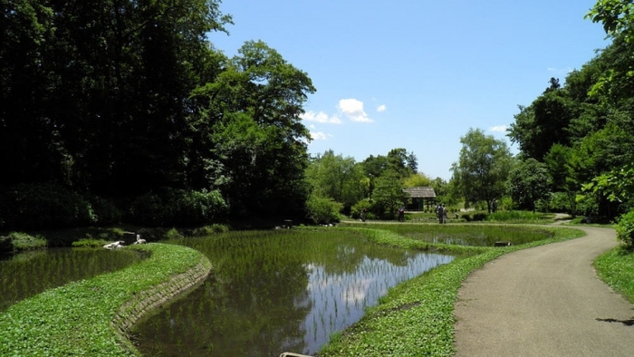 【千葉】USJを超えた! 日本の人気テーマパーク3位「アンデルセン公園」を徹底紹介