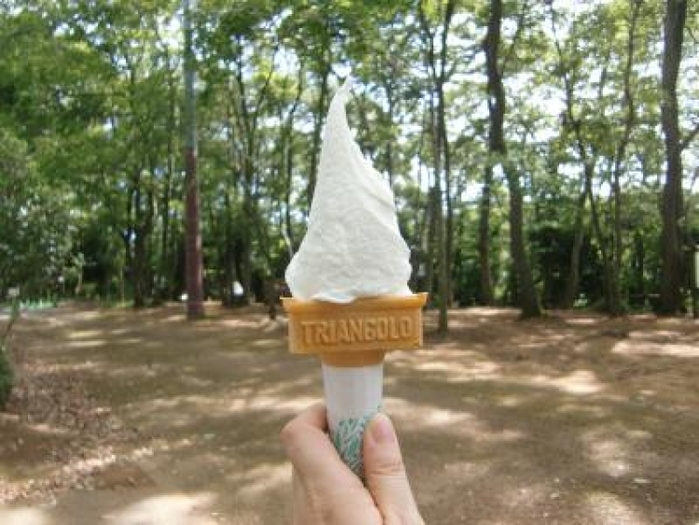 【千葉】USJを超えた! 日本の人気テーマパーク3位「アンデルセン公園」を徹底紹介