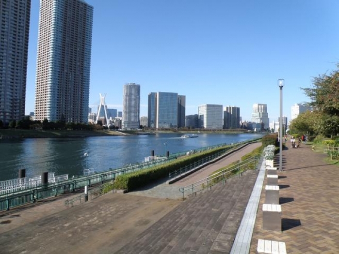 豊洲周辺で人気のおすすめ観光スポット9選