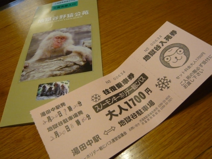 【長野】世界唯一! サルの温泉を撮影できる「地獄谷野猿公苑」がすごい