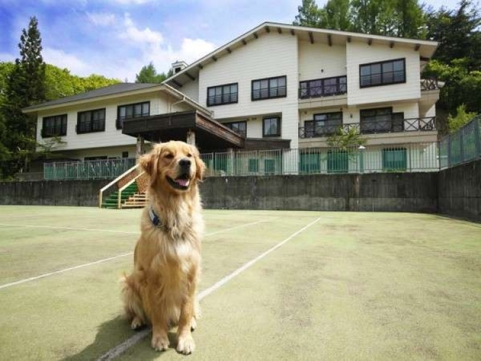 【岐阜】愛犬も愛猫も寂しくない! ペットと一緒に宿泊できるホテル10選