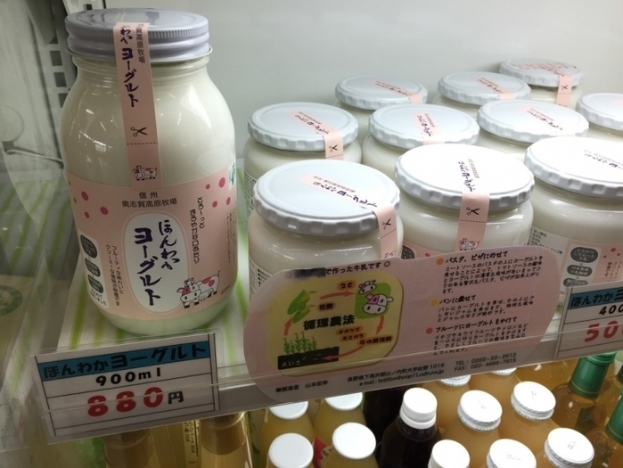 湯田中渋温泉郷へ観光時にぜひ寄りたい♪ 道の駅「北信州やまのうち」