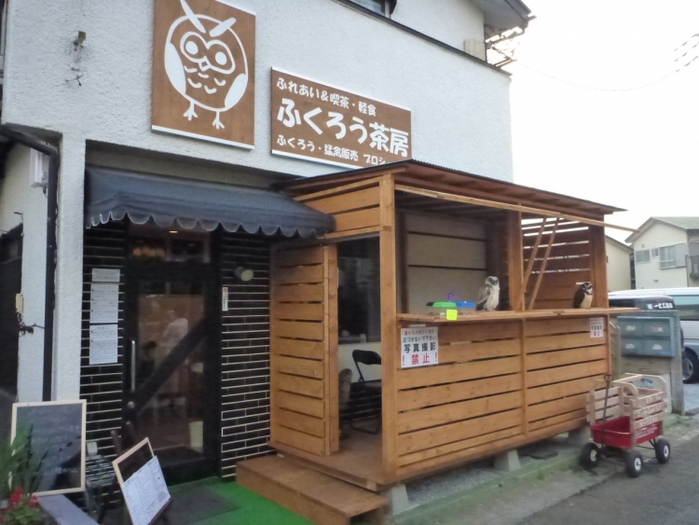 【東京】流行りはフクロウ! 都内でおすすめのフクロウカフェ17選