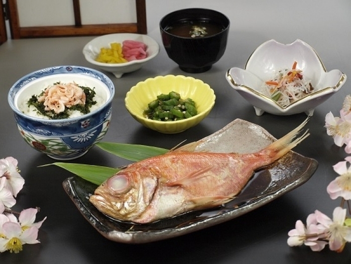 【2019年】静岡の河津桜で一足先に春満喫♪ 都内から行く3月発のバスツアー3選