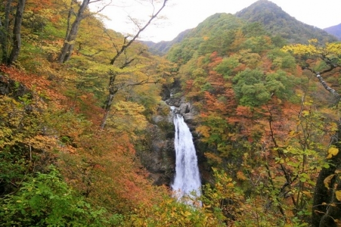【仙台】ライトアップもあり! 秋のデートで行きたい紅葉スポット5選