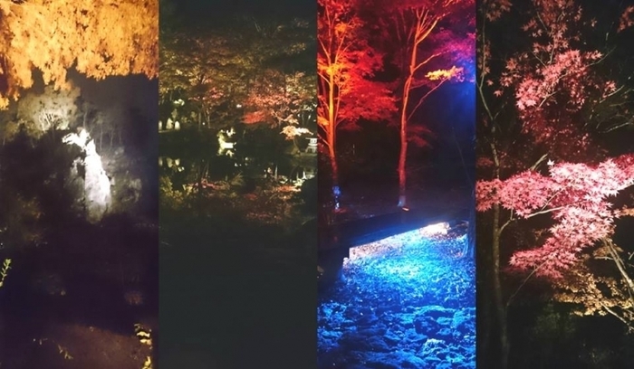 【仙台】ライトアップもあり! 秋のデートで行きたい紅葉スポット5選