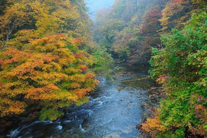 【仙台】ライトアップもあり! 秋のデートで行きたい紅葉スポット5選