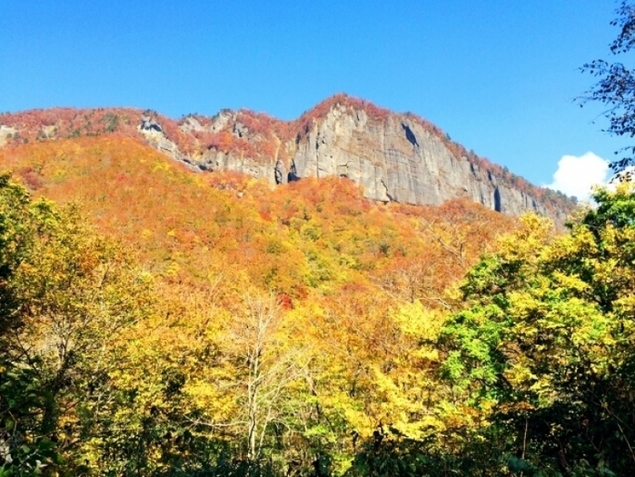 【仙台】ライトアップもあり! 秋のデートで行きたい紅葉スポット5選