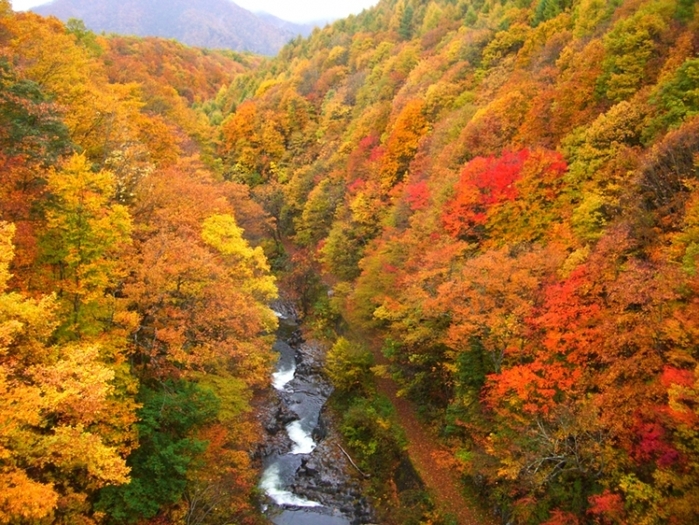 【仙台】ライトアップもあり! 秋のデートで行きたい紅葉スポット5選