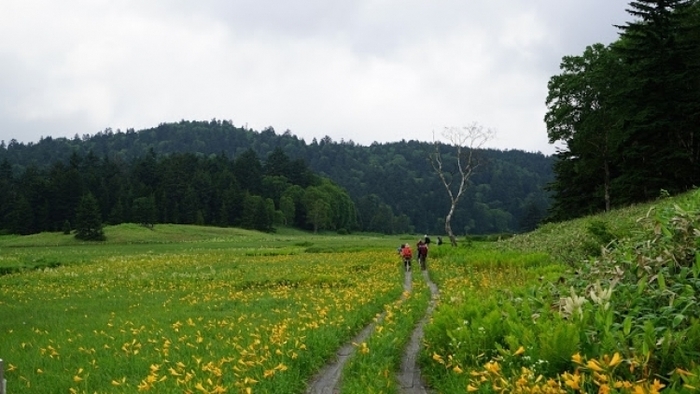 【群馬】初めての山小屋泊登山は、気分爽快の尾瀬へ