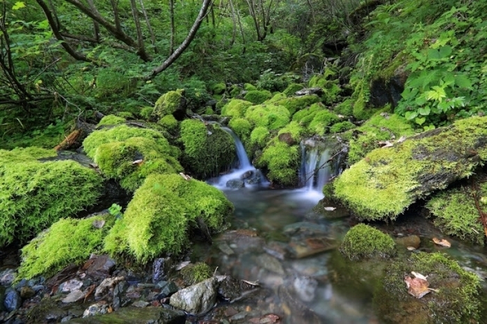 初めての山小屋泊登山でも挑戦できる! 日本第2の北岳