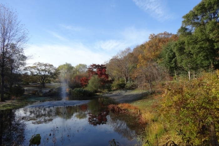 【千葉】「京成バラ園」の咲き誇るバラ庭園の魅力ガイド(割引あり)