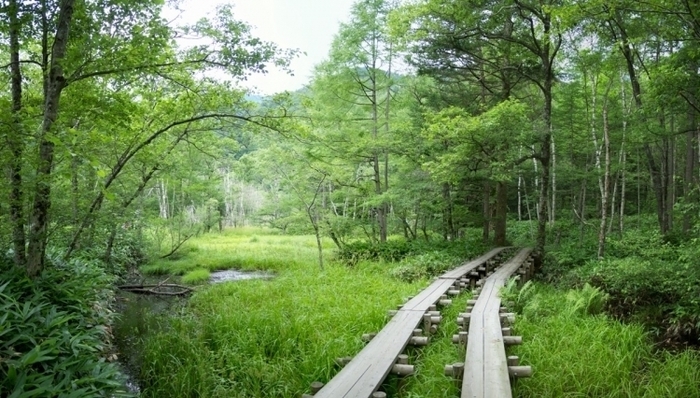 【長野】上高地観光でおすすめのスポット10選:アクセスや見所・観光のポイントも紹介