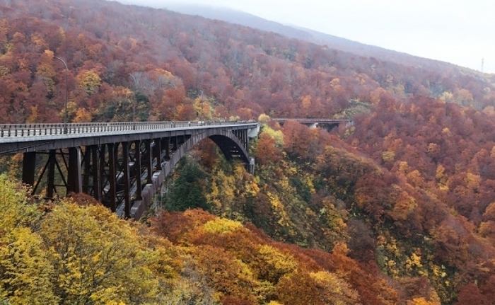 東北の紅葉名所ツアー2018年版:赤じゅうたんの広がる絶景の登山スポットまとめ