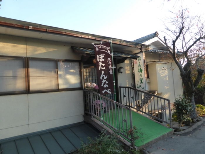 【関西】秋の味覚を自分で手に入れる!松茸狩りツアー5選