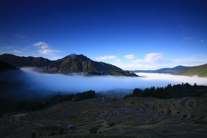 【三重】日本の原風景、美しい棚田が広がる丸山千枚田の見どころガイド