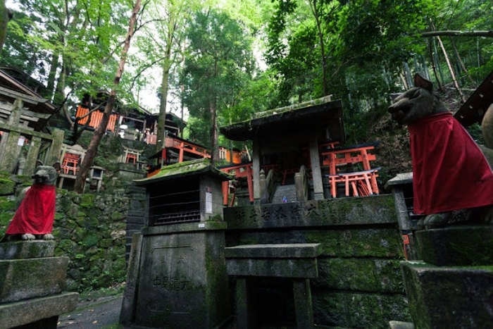 【京都】伏見稲荷大社の観光ガイド:朱色の千本鳥居に圧倒される