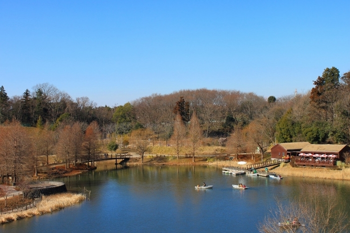 【千葉】市川・船橋で一度は行っておきたい人気の定番観光地5選