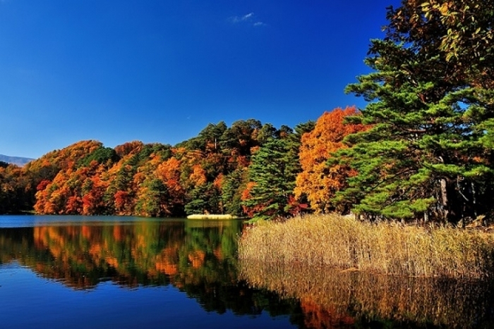 隠れた名所ばかりの中央・南アルプスで楽しむ紅葉登山・ハイキングツアー