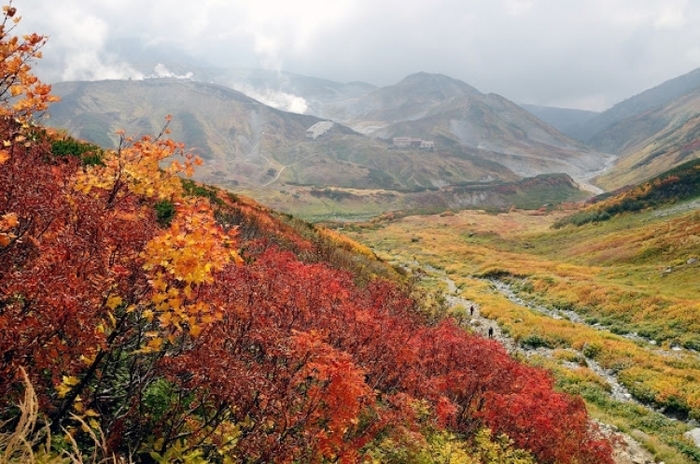 日本一の山岳紅葉がココに! 北アルプスの紅葉登山・ハイキングツアー